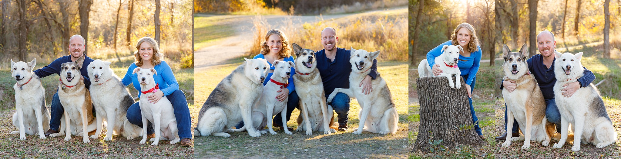 Pet Family Christmas Photos by Elegant Pix Photography in Cedar Park, TX