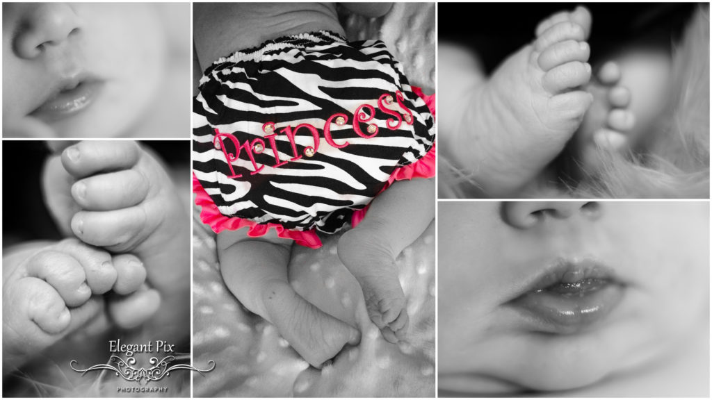 newborn photography